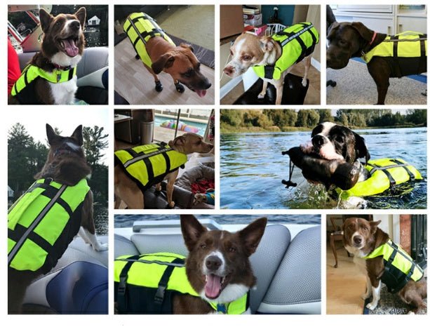 Inflatable Dog Life Vest – Adjustable Pet Swim Safety Jacket – Green Pet for Adjustable Dog Vest (4 view)