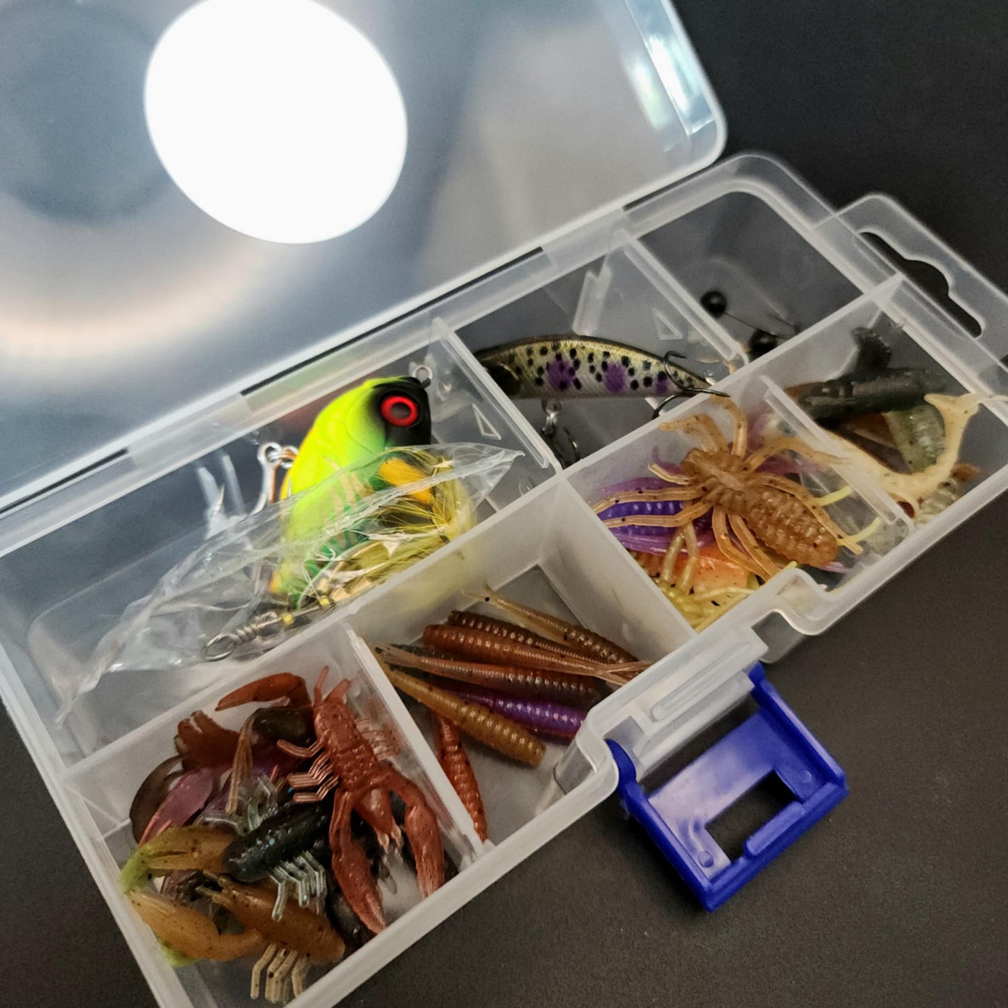 Assorted fishing lures in a clear plastic box on a dark surface.