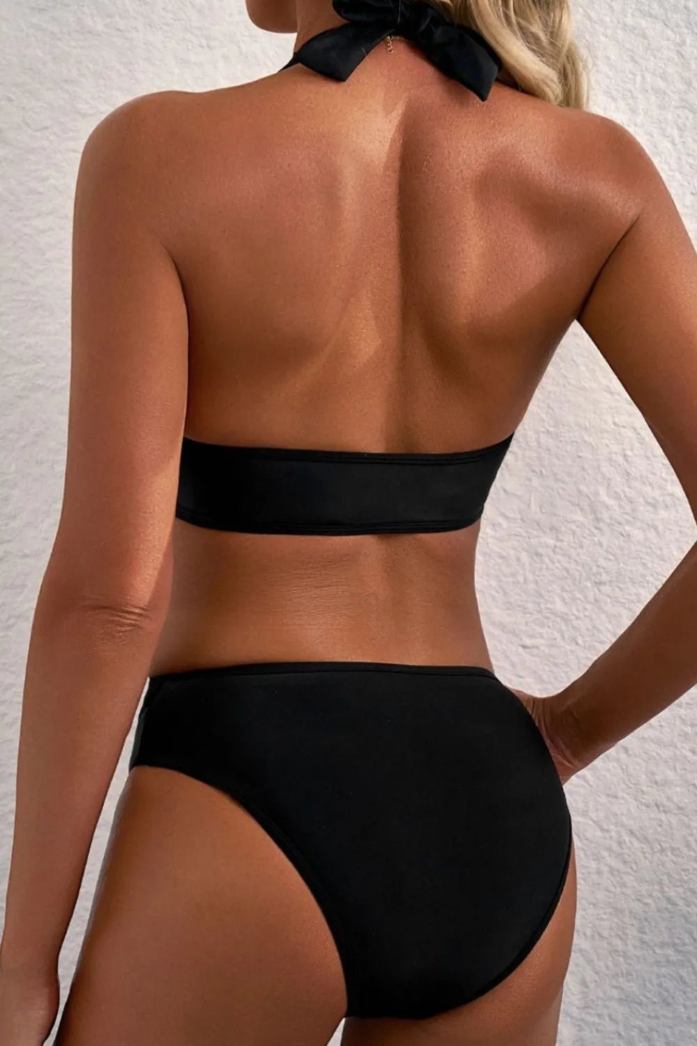 Sheer Mesh Edged Halter V Neck Push Up Bikini Set – Black for Shopify Collective (6 view)