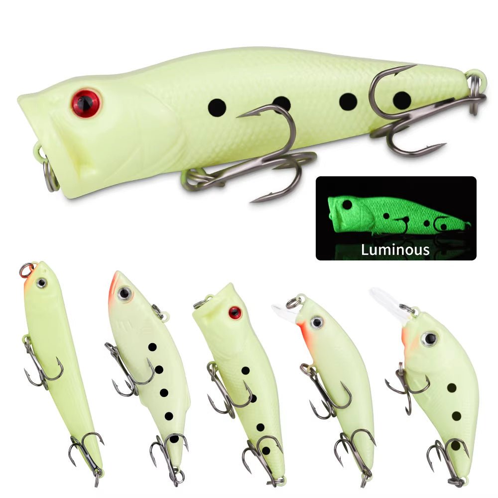 22pc Lure Kit – Hard & Soft Baits, Popper, Minnow, Frog, – Fishing Gear by SbrTnHomes