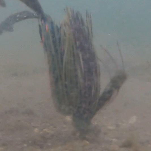 Reaction Tackle Lead Flipping Jigs- 3-PACK - New - RM Outpost