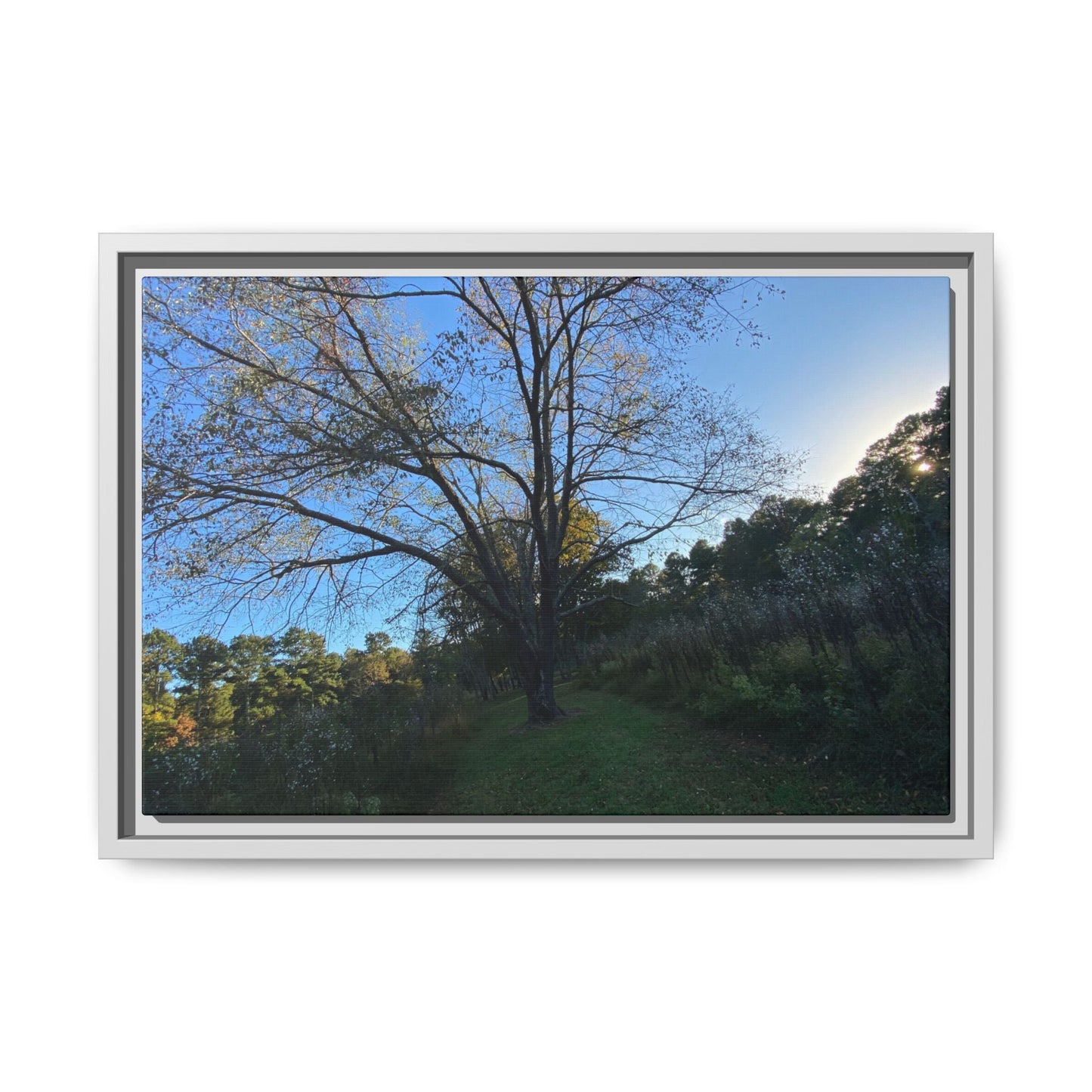 Framed Matte Canvas Art Print, Nature Wall Decor, Living Room Artwork, Gift for Nature Lovers, Home Office Decor, Rustic Vibes – 18″ x 12″ (Horizontal) Canvas for Art for Living Room (15 view)