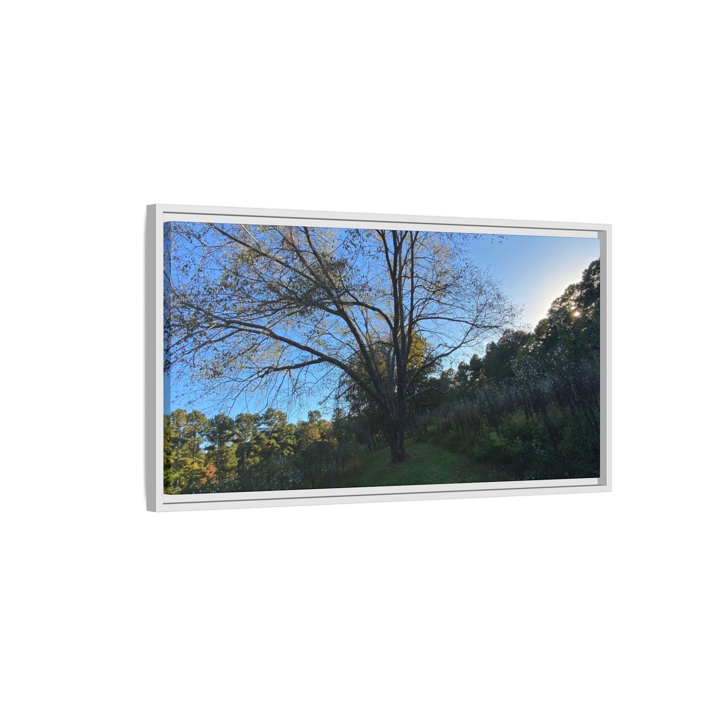 Framed Matte Canvas Art Print, Nature Wall Decor, Living Room Artwork, Gift for Nature Lovers, Home Office Decor, Rustic Vibes – 18″ x 12″ (Horizontal) Canvas for Art for Living Room (141 view)