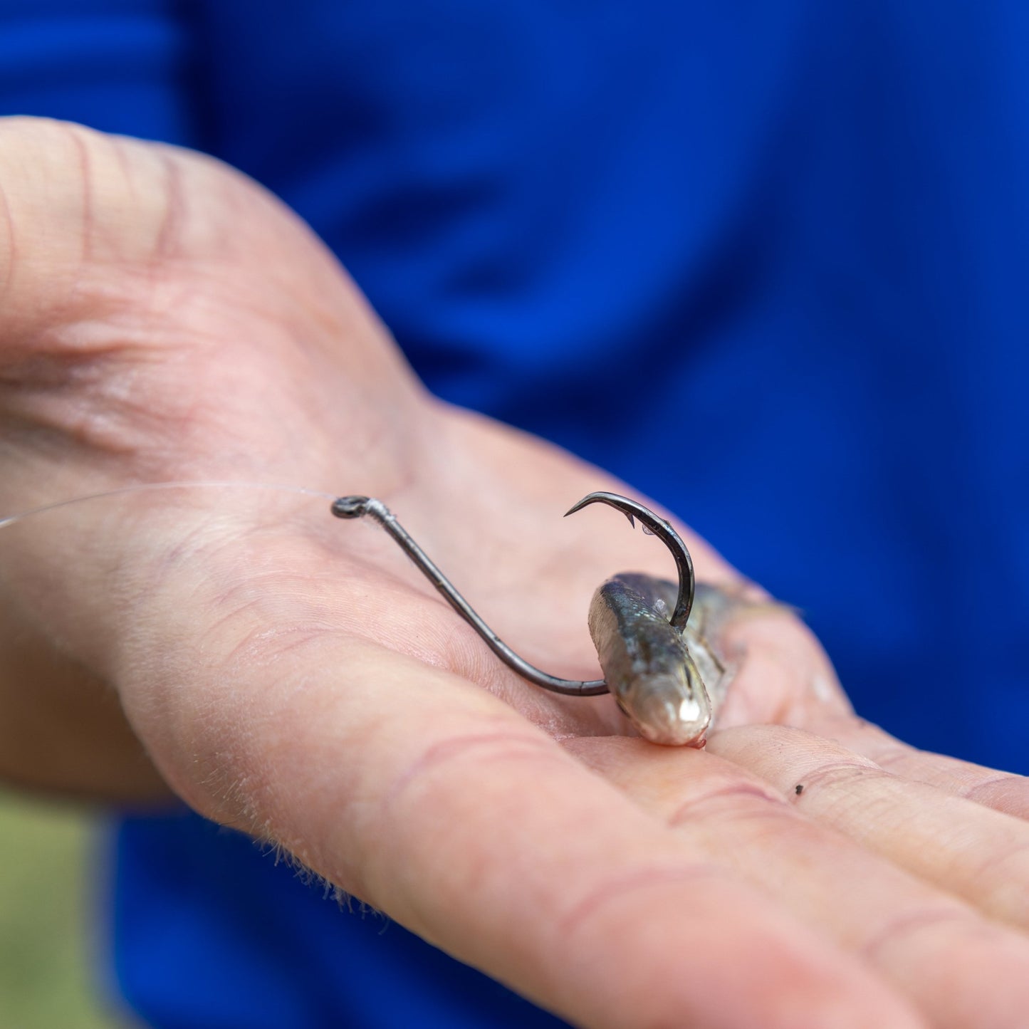 Reaction Tackle Heavyweight Catfish Circle Hooks - Offset Octopus Hooks (25 Pack) - New – 1 for fishing (7 view)