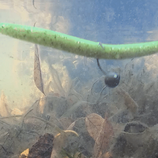 Reaction Tackle Lead Wacky Jigs- 10-PACK- Ultra Sharp - New - RM Outpost