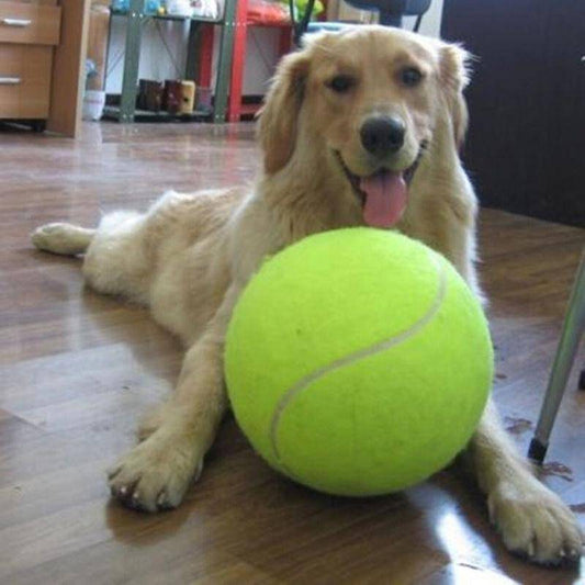 Jumbo Tennis Ball – Dog Toys for pets (1 view)