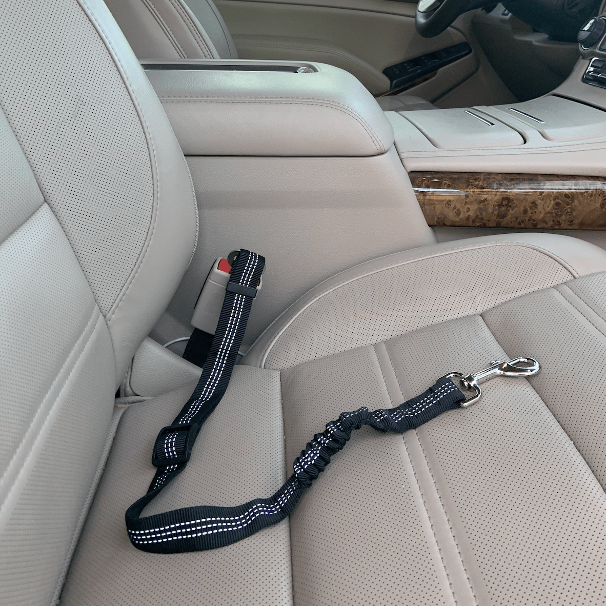 Car Elastic Safety Leash – Black Pet for pets (1 view)