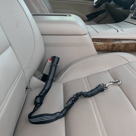 Car Elastic Safety Leash – Black Pet for pets (1 view)