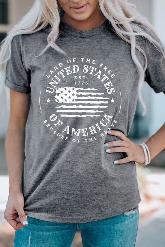 US Flag Graphic Short Sleeve Tee – Mid Gray for Shopify Collective (2 view)