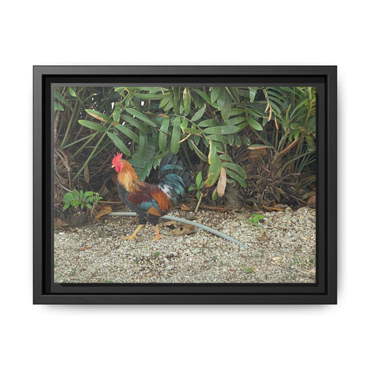 Colorful Rooster Canvas Art, Framed Wall Decor for Farmhouse, Kitchen, Living Room, Gift for Chicken Lovers – 12" x 9" (Horizontal) Canvas for Animal Print (1 view)