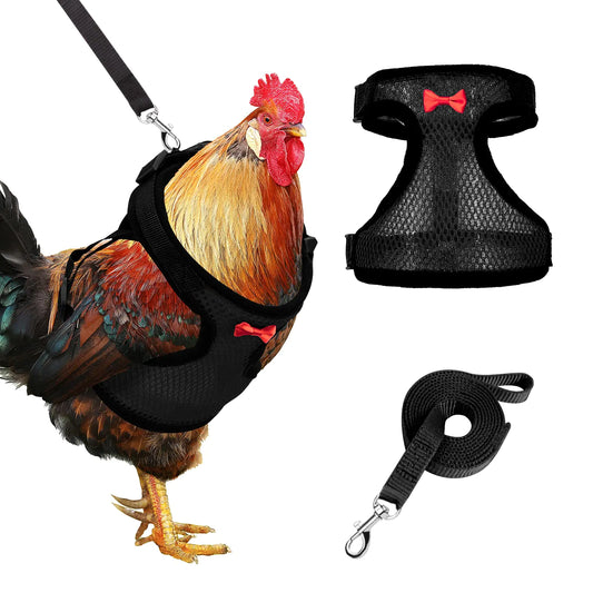 Adhafera Chicken Harness With | Shop Sbrtn Homes – Black Pet for adjustableharness (2 view)