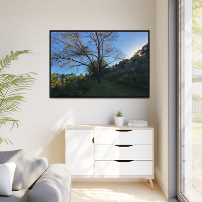 Framed Matte Canvas Art Print, Nature Wall Decor, Living Room Artwork, Gift for Nature Lovers, Home Office Decor, Rustic Vibes – 18″ x 12″ (Horizontal) Canvas for Art for Living Room (148 view)
