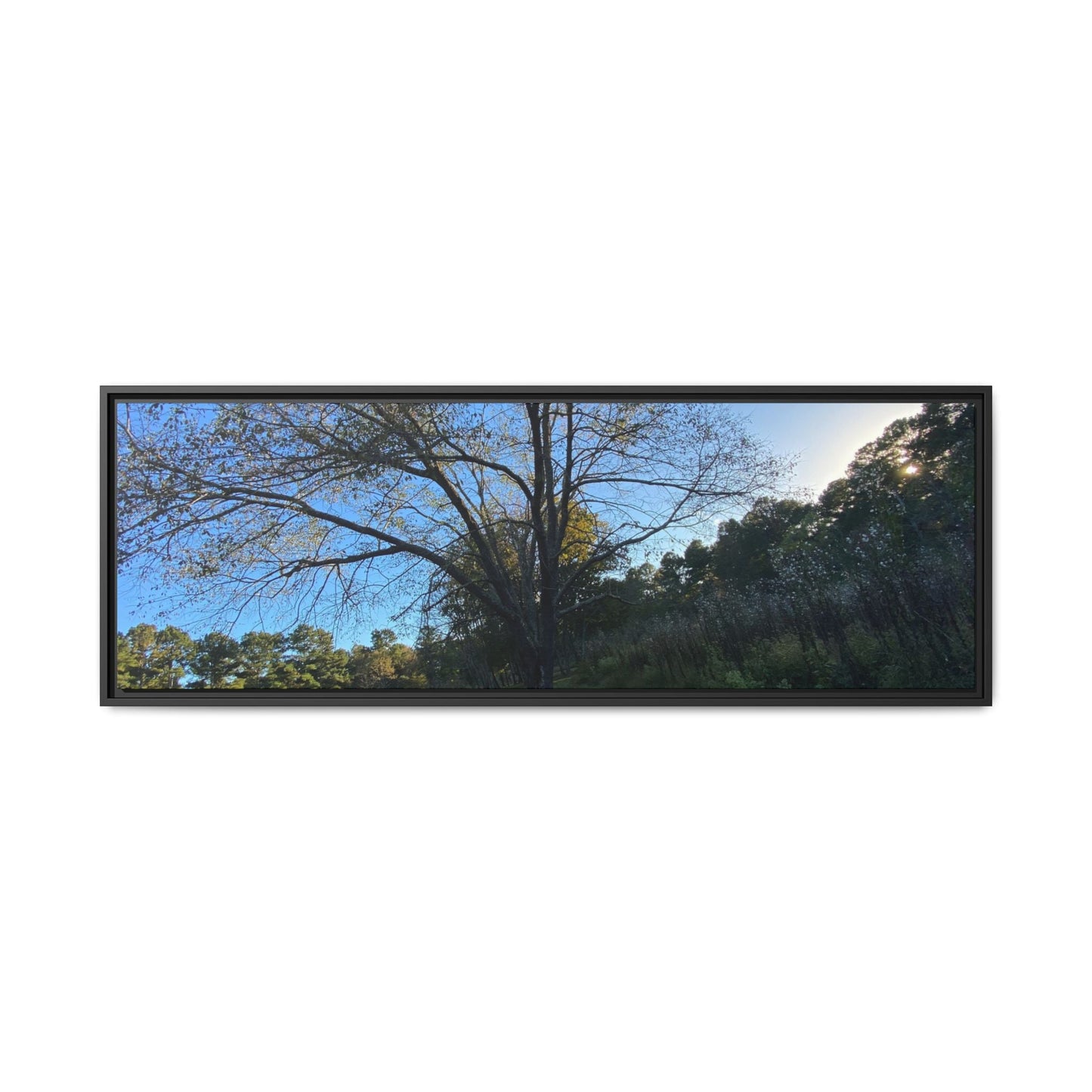Framed Matte Canvas Art Print, Nature Wall Decor, Living Room Artwork, Gift for Nature Lovers, Home Office Decor, Rustic Vibes – 48" x 16" (Horizontal) Canvas for Art for Living Room (10 view)