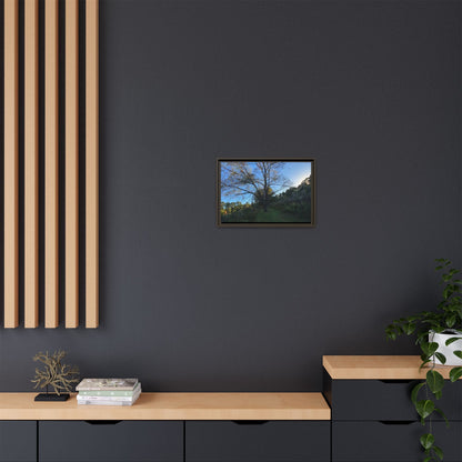 Framed Matte Canvas Art Print, Nature Wall Decor, Living Room Artwork, Gift for Nature Lovers, Home Office Decor, Rustic Vibes – 60" x 40" (Horizontal) Canvas by Printify