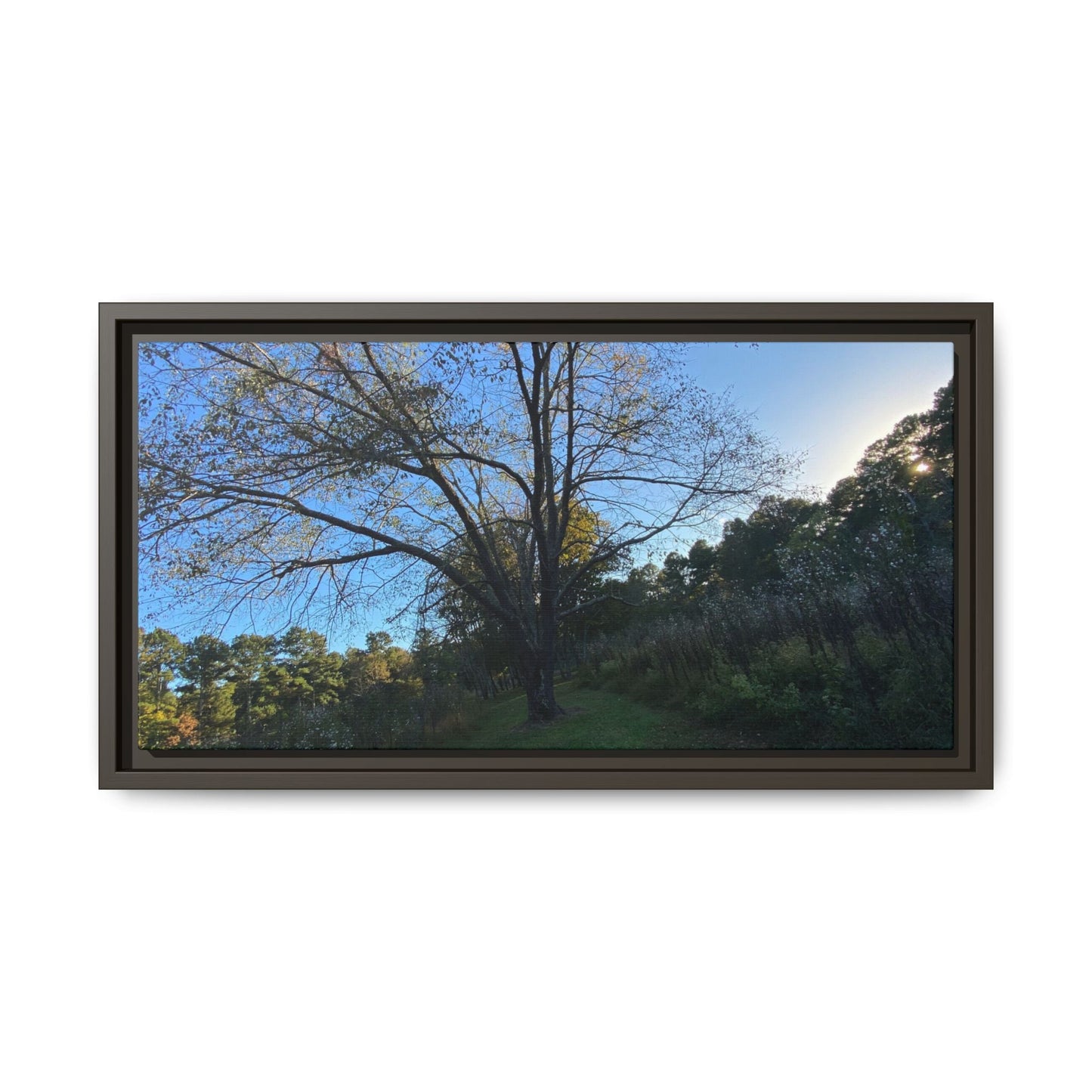 Framed Matte Canvas Art Print, Nature Wall Decor, Living Room Artwork, Gift for Nature Lovers, Home Office Decor, Rustic Vibes – 20" x 10" (Horizontal) Canvas for Art for Living Room (23 view)