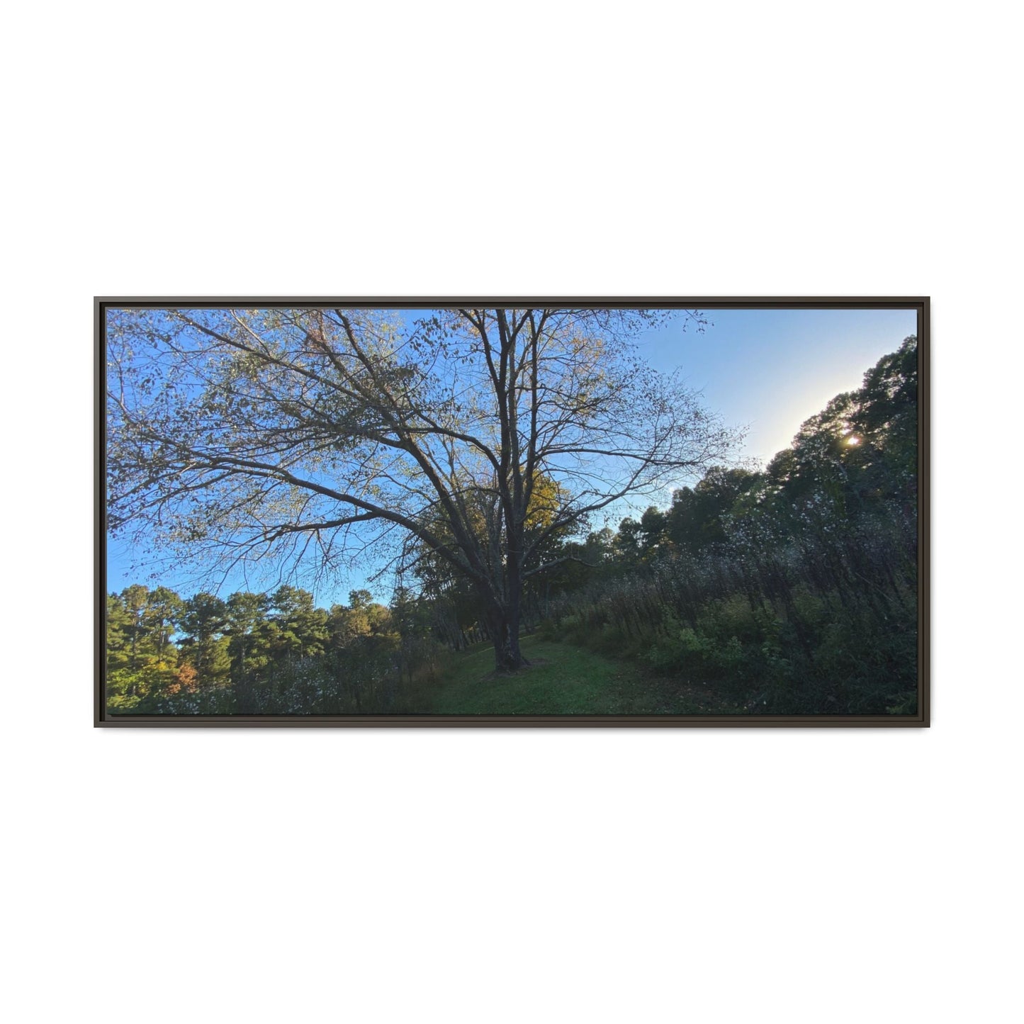 Framed Matte Canvas Art Print, Nature Wall Decor, Living Room Artwork, Gift for Nature Lovers, Home Office Decor, Rustic Vibes – 60" x 30" (Horizontal) Canvas for Art for Living Room (31 view)