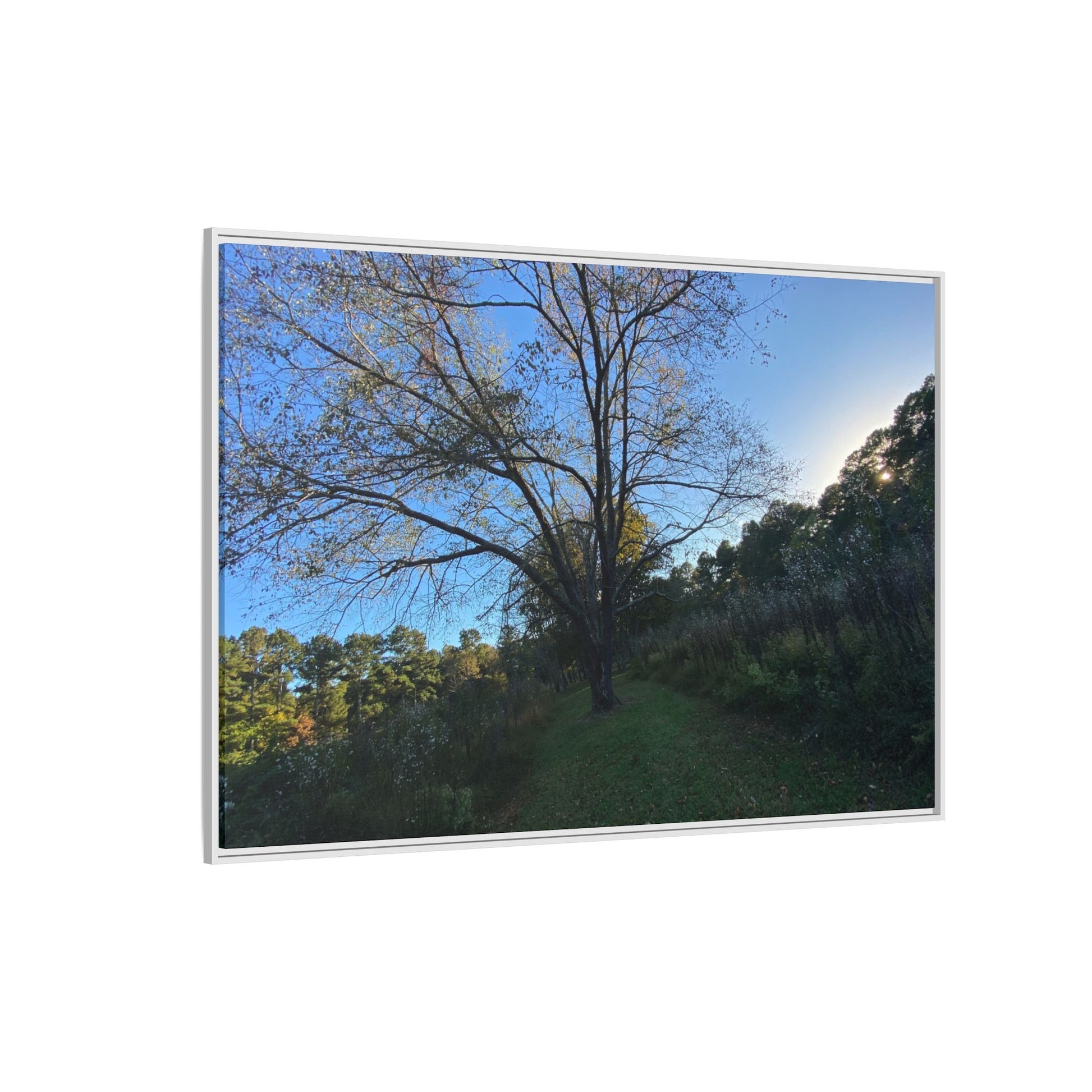 Framed Matte Canvas Art Print, Nature Wall Decor, Living Room Artwork, Gift for Nature Lovers, Home Office Decor, Rustic Vibes – 18″ x 12″ (Horizontal) Canvas for Art for Living Room (150 view)