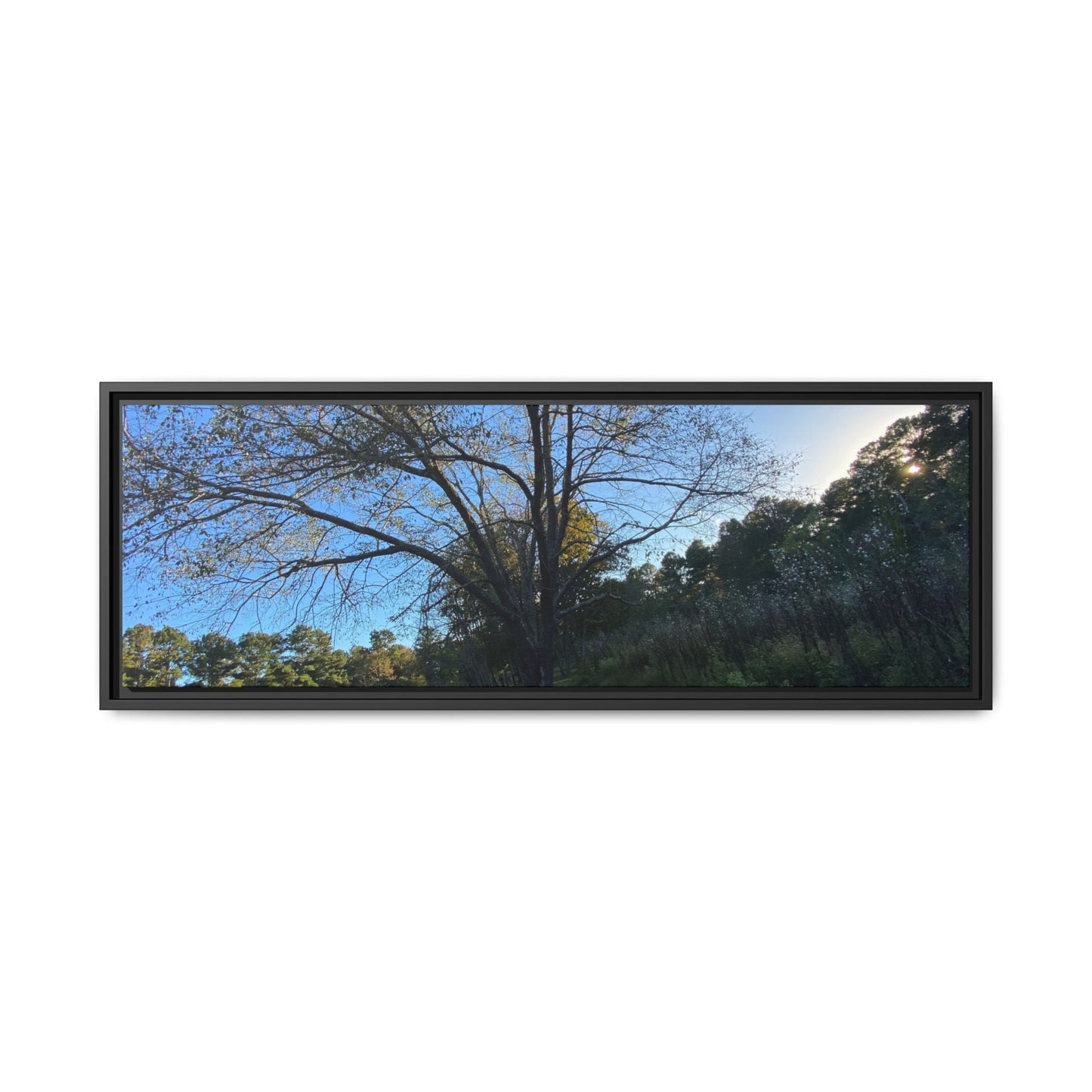 Framed Matte Canvas Art Print, Nature Wall Decor, Living Room Artwork, Gift for Nature Lovers, Home Office Decor, Rustic Vibes – 36" x 12" (Horizontal) Canvas for Art for Living Room (19 view)