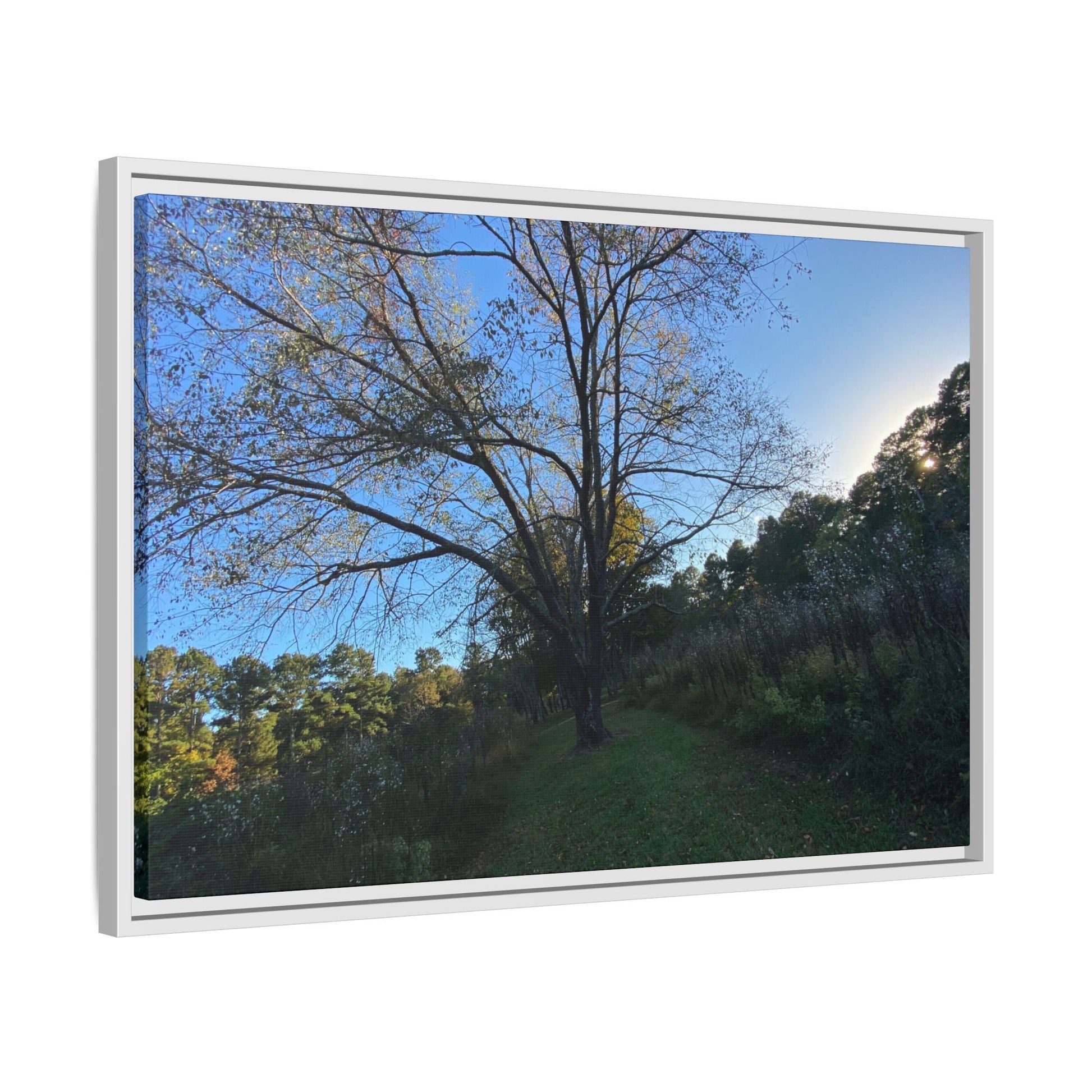 Framed Matte Canvas Art Print, Nature Wall Decor, Living Room Artwork, Gift for Nature Lovers, Home Office Decor, Rustic Vibes – 60" x 40" (Horizontal) Canvas for Art for Living Room (51 view)