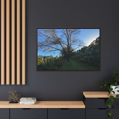 Framed Matte Canvas Art Print, Nature Wall Decor, Living Room Artwork, Gift for Nature Lovers, Home Office Decor, Rustic Vibes – 60" x 40" (Horizontal) Canvas for Art for Living Room (62 view)