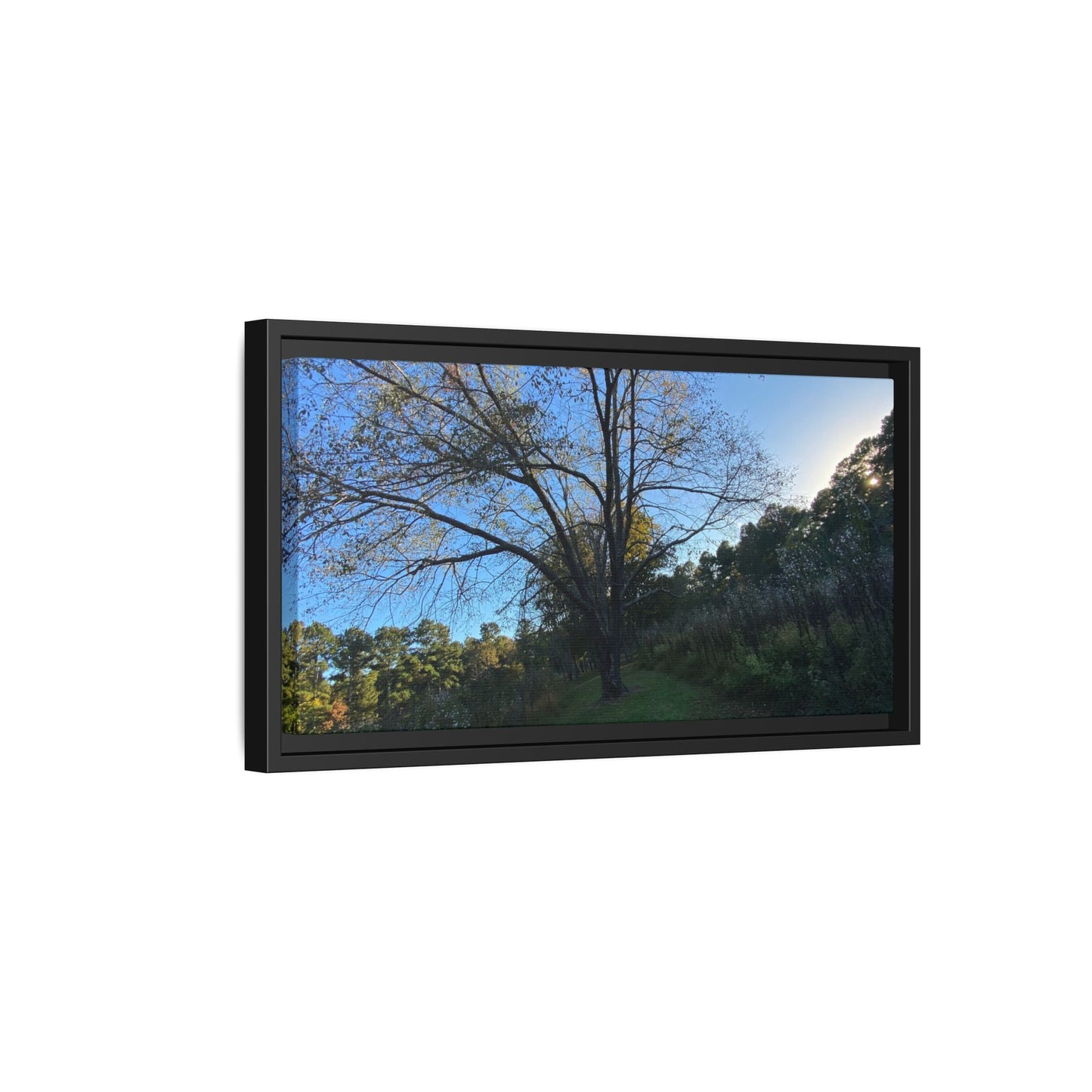 Framed Matte Canvas Art Print, Nature Wall Decor, Living Room Artwork, Gift for Nature Lovers, Home Office Decor, Rustic Vibes – 60" x 40" (Horizontal) Canvas for Art for Living Room (102 view)