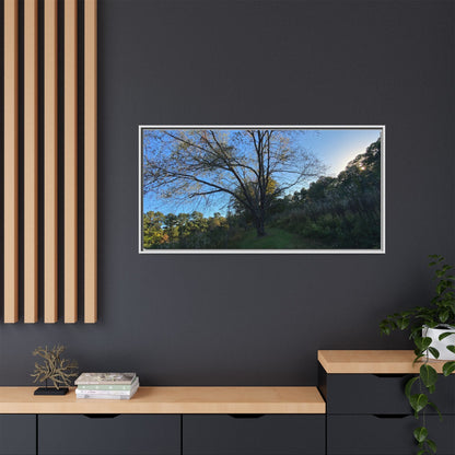 Framed Matte Canvas Art Print, Nature Wall Decor, Living Room Artwork, Gift for Nature Lovers, Home Office Decor, Rustic Vibes – 60" x 40" (Horizontal) Canvas for Art for Living Room (119 view)