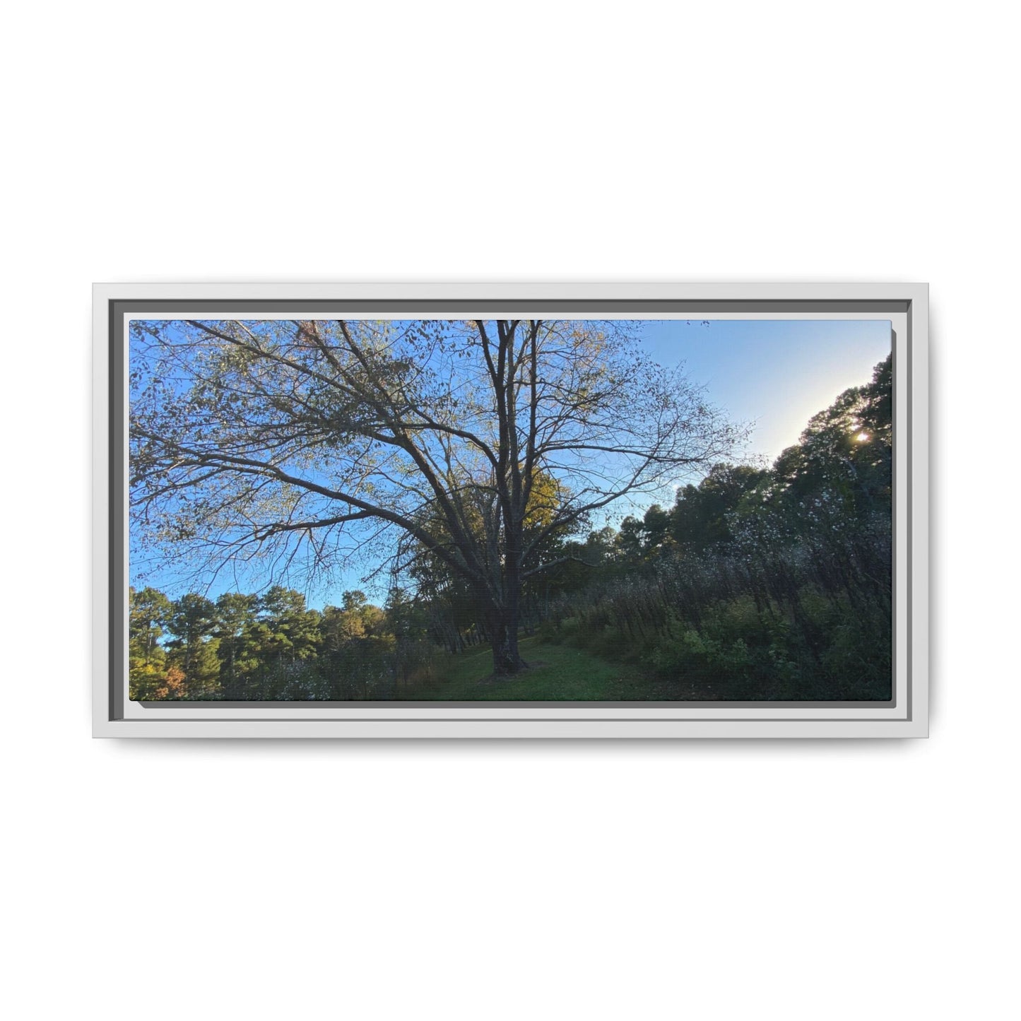 Framed Matte Canvas Art Print, Nature Wall Decor, Living Room Artwork, Gift for Nature Lovers, Home Office Decor, Rustic Vibes – 20" x 10" (Horizontal) Canvas for Art for Living Room (24 view)