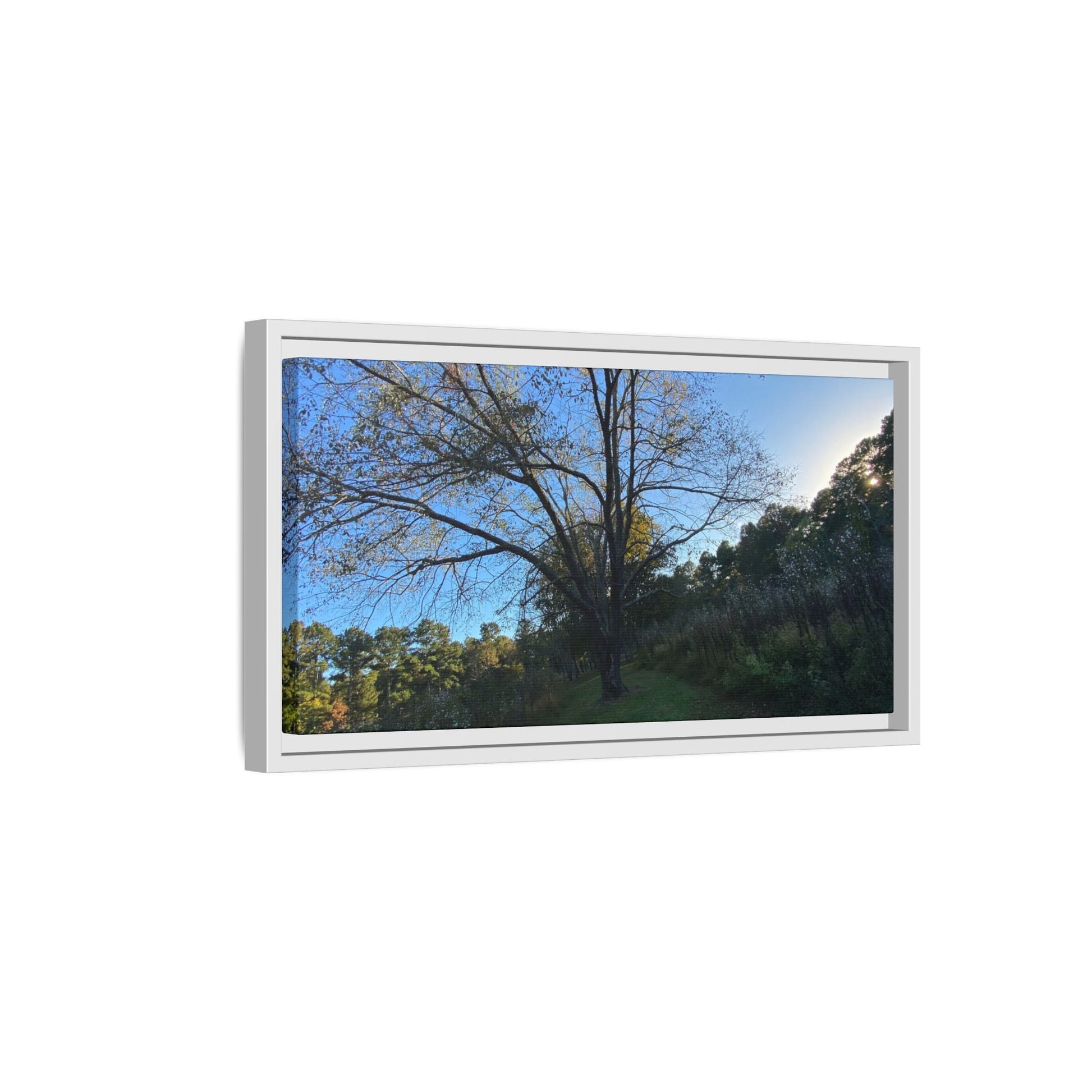 Framed Matte Canvas Art Print, Nature Wall Decor, Living Room Artwork, Gift for Nature Lovers, Home Office Decor, Rustic Vibes – 60" x 40" (Horizontal) Canvas for Art for Living Room (108 view)