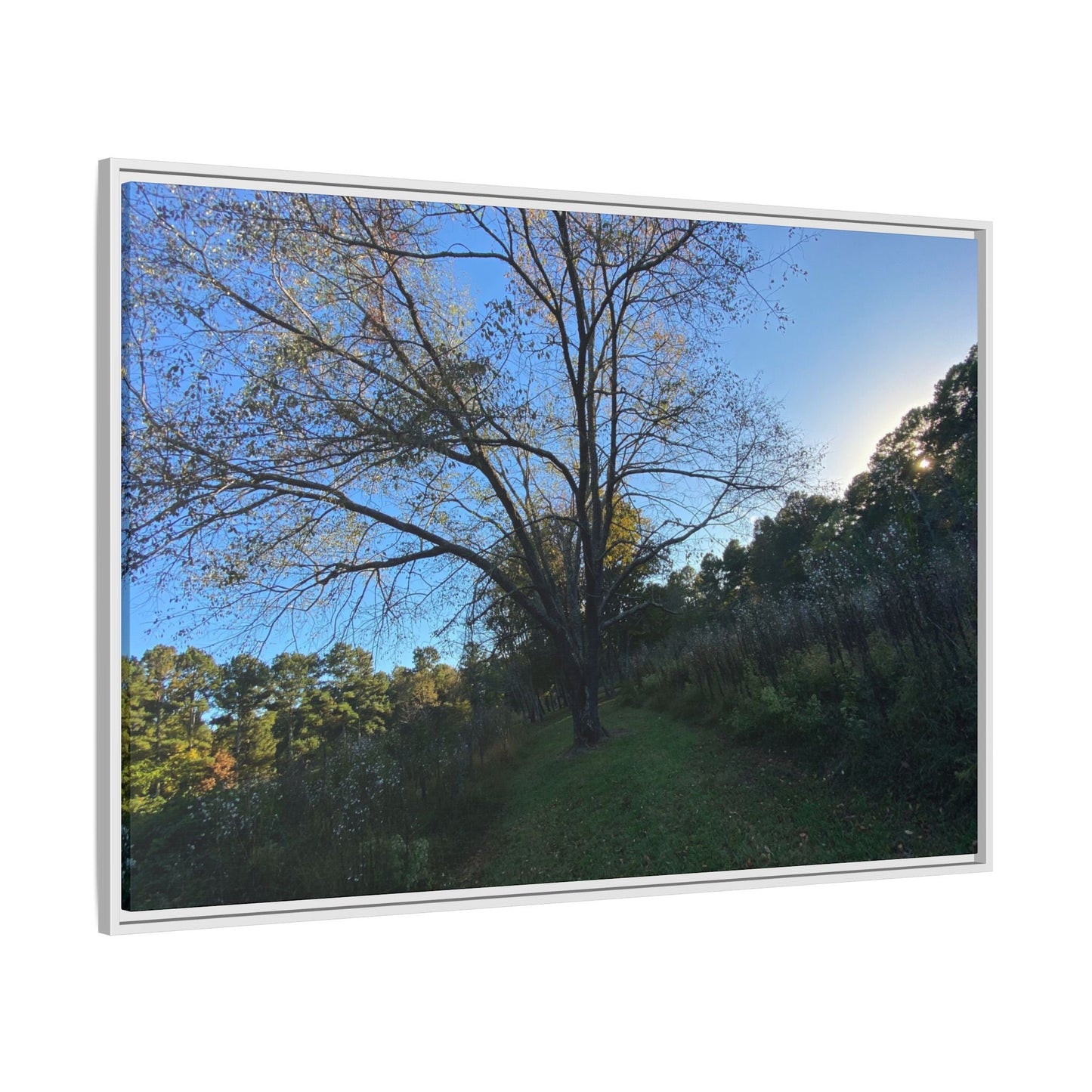 Framed Matte Canvas Art Print, Nature Wall Decor, Living Room Artwork, Gift for Nature Lovers, Home Office Decor, Rustic Vibes – 60" x 40" (Horizontal) Canvas by Printify