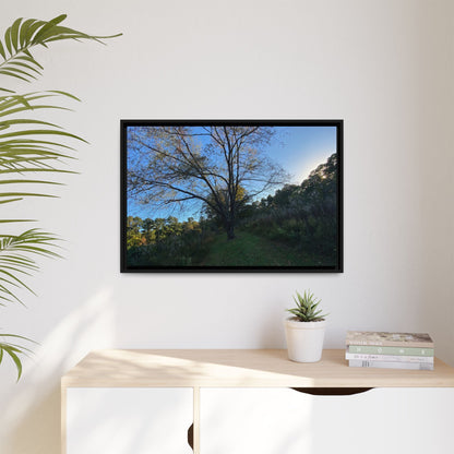 Framed Matte Canvas Art Print, Nature Wall Decor, Living Room Artwork, Gift for Nature Lovers, Home Office Decor, Rustic Vibes – 60" x 40" (Horizontal) Canvas for Art for Living Room (40 view)