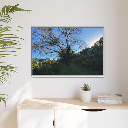 Framed Matte Canvas Art Print, Nature Wall Decor, Living Room Artwork, Gift for Nature Lovers, Home Office Decor, Rustic Vibes – 60" x 40" (Horizontal) Canvas for Art for Living Room (58 view)