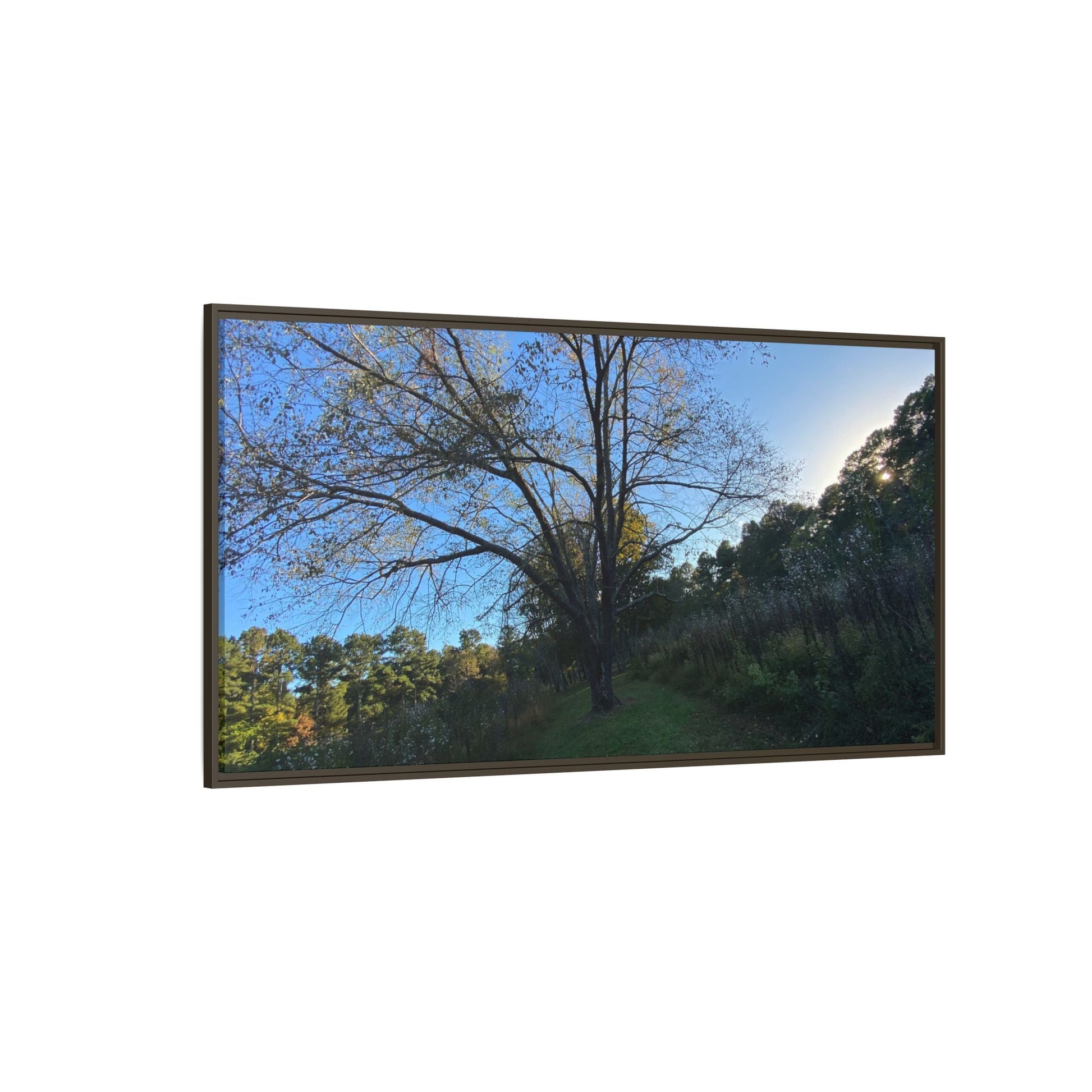 Framed Matte Canvas Art Print, Nature Wall Decor, Living Room Artwork, Gift for Nature Lovers, Home Office Decor, Rustic Vibes – 18″ x 12″ (Horizontal) Canvas for Art for Living Room (129 view)