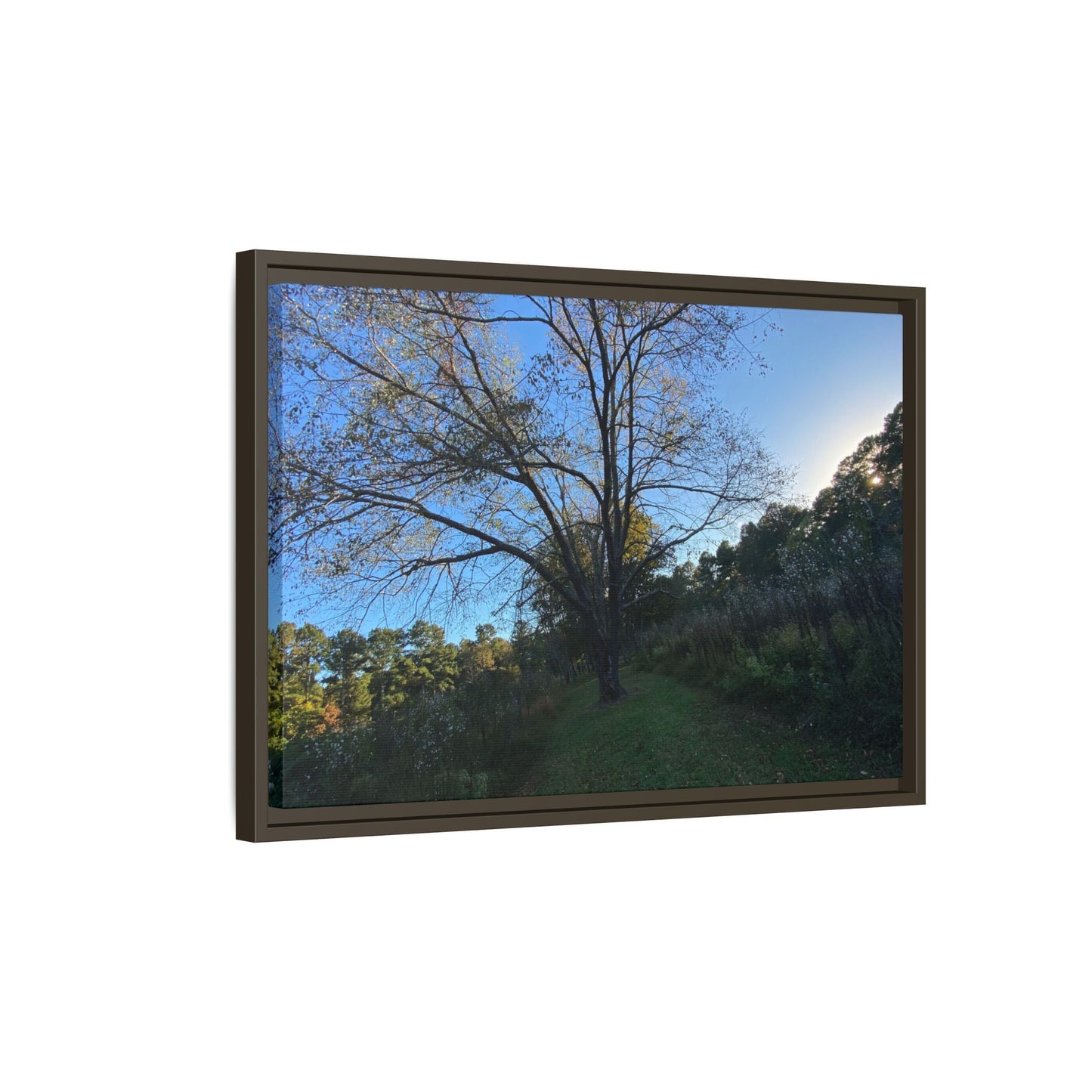 Framed Matte Canvas Art Print, Nature Wall Decor, Living Room Artwork, Gift for Nature Lovers, Home Office Decor, Rustic Vibes – 60" x 40" (Horizontal) Canvas for Art for Living Room (87 view)