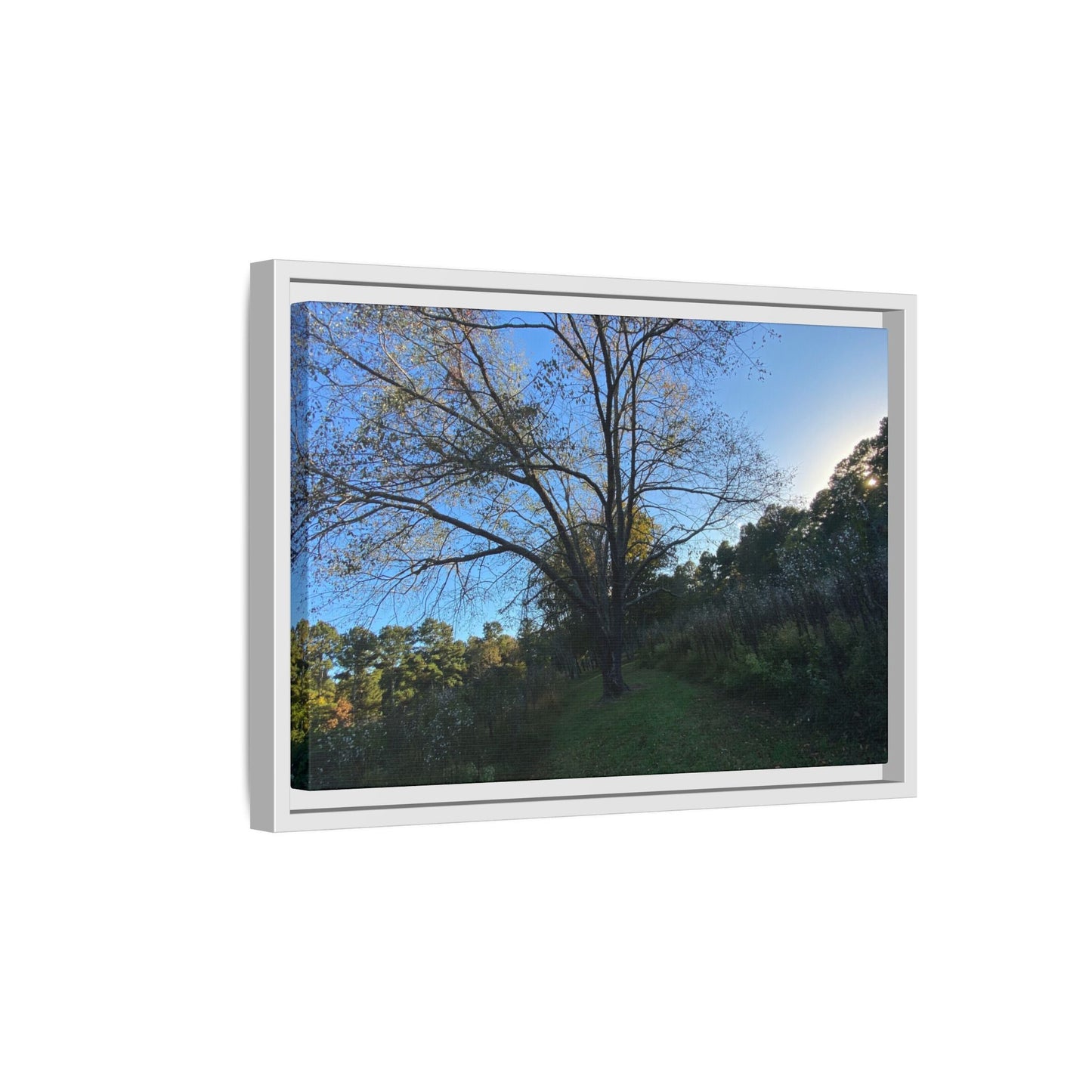 Framed Matte Canvas Art Print, Nature Wall Decor, Living Room Artwork, Gift for Nature Lovers, Home Office Decor, Rustic Vibes – 60" x 40" (Horizontal) Canvas for Art for Living Room (81 view)