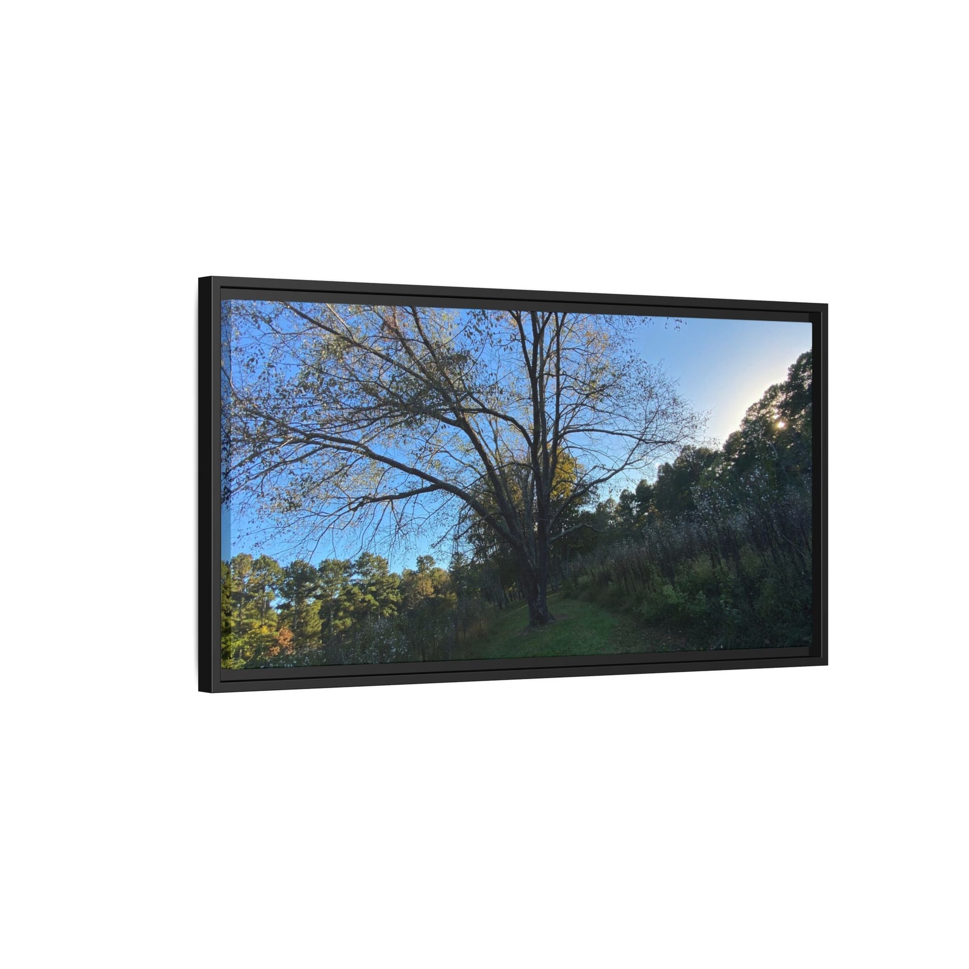 Framed Matte Canvas Art Print, Nature Wall Decor, Living Room Artwork, Gift for Nature Lovers, Home Office Decor, Rustic Vibes – 18″ x 12″ (Horizontal) Canvas for Art for Living Room (135 view)