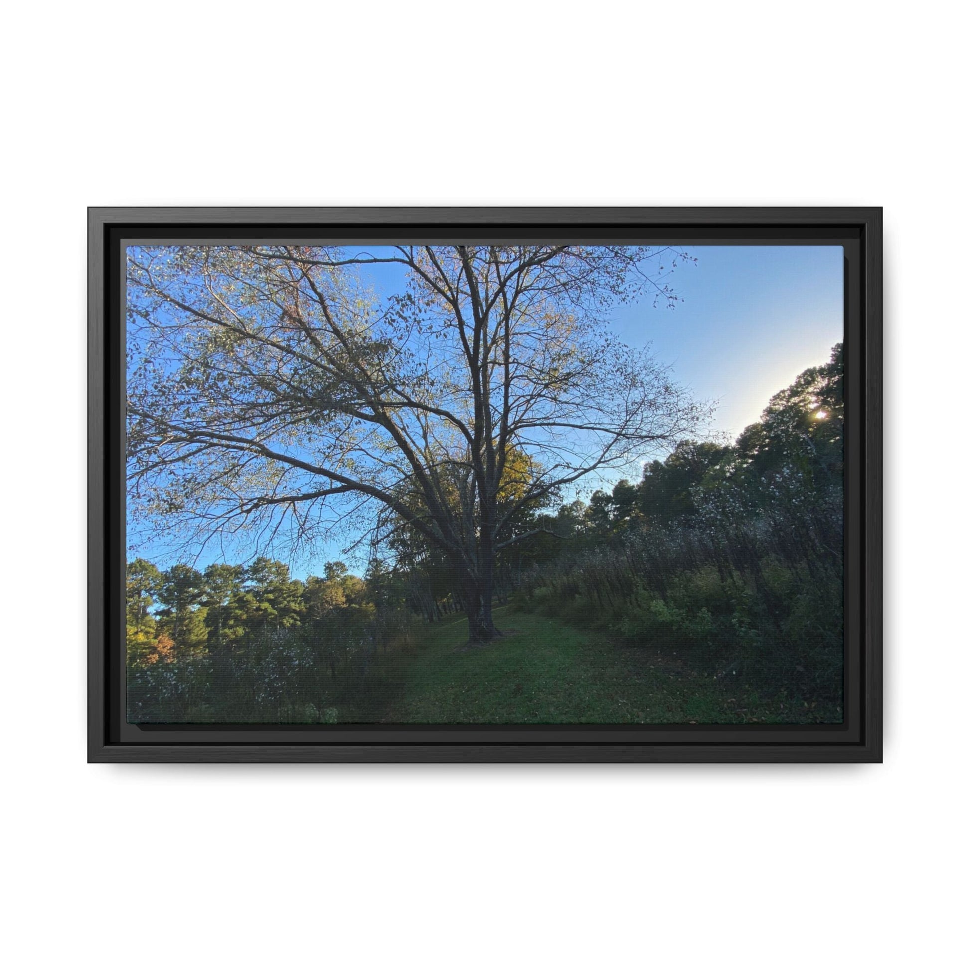 Framed Matte Canvas Art Print, Nature Wall Decor, Living Room Artwork, Gift for Nature Lovers, Home Office Decor, Rustic Vibes – 18″ x 12″ (Horizontal) Canvas for Art for Living Room (13 view)
