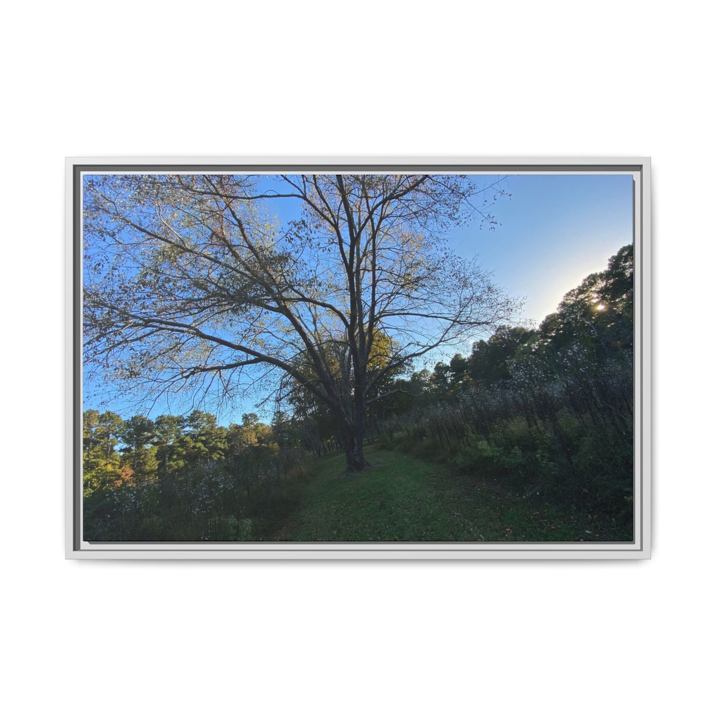 Framed Matte Canvas Art Print, Nature Wall Decor, Living Room Artwork, Gift for Nature Lovers, Home Office Decor, Rustic Vibes – 30″ x 20″ (Horizontal) Canvas for Art for Living Room (5 view)