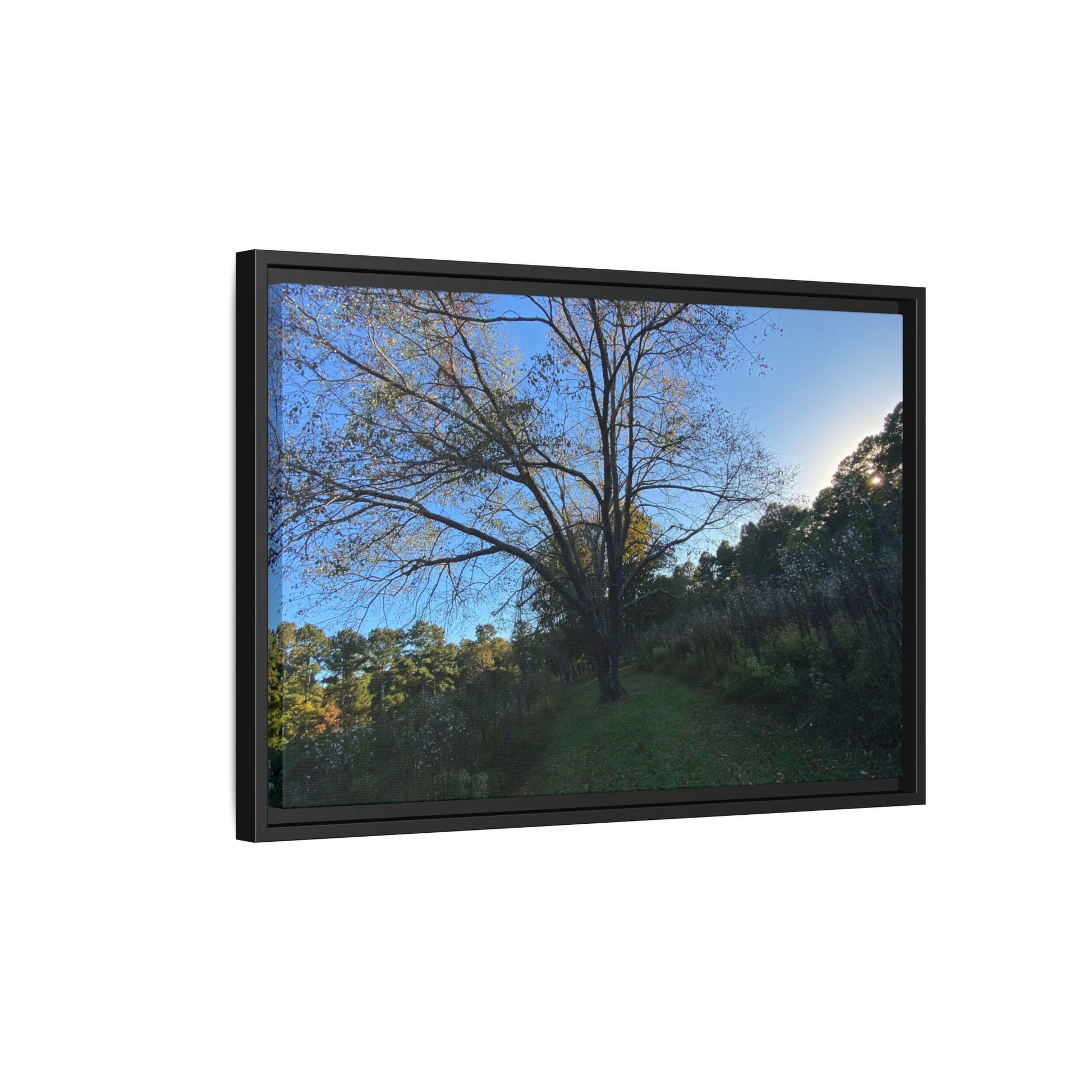 Framed Matte Canvas Art Print, Nature Wall Decor, Living Room Artwork, Gift for Nature Lovers, Home Office Decor, Rustic Vibes – 60" x 40" (Horizontal) Canvas for Art for Living Room (84 view)