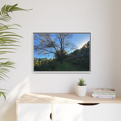 Framed Matte Canvas Art Print, Nature Wall Decor, Living Room Artwork, Gift for Nature Lovers, Home Office Decor, Rustic Vibes – 60" x 40" (Horizontal) Canvas for Art for Living Room (52 view)