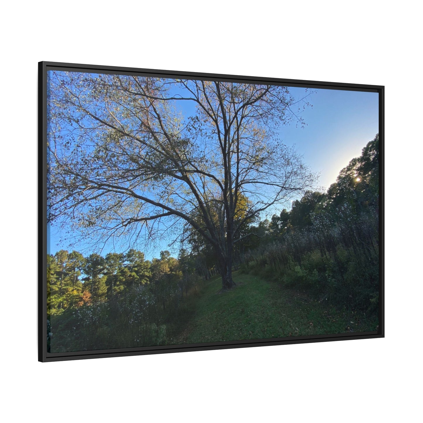 Framed Matte Canvas Art Print, Nature Wall Decor, Living Room Artwork, Gift for Nature Lovers, Home Office Decor, Rustic Vibes – 60" x 40" (Horizontal) Canvas for Art for Living Room (45 view)