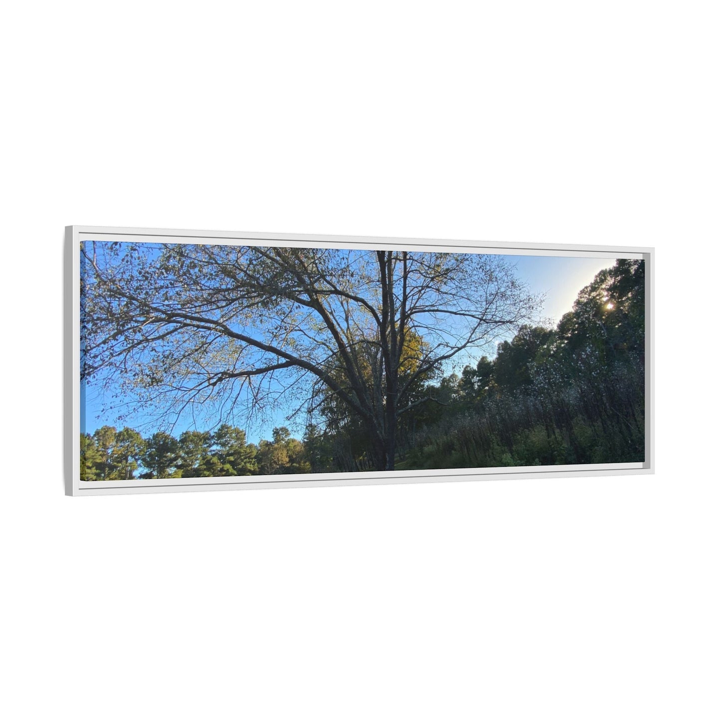 Framed Matte Canvas Art Print, Nature Wall Decor, Living Room Artwork, Gift for Nature Lovers, Home Office Decor, Rustic Vibes – 60" x 40" (Horizontal) Canvas for Art for Living Room (72 view)