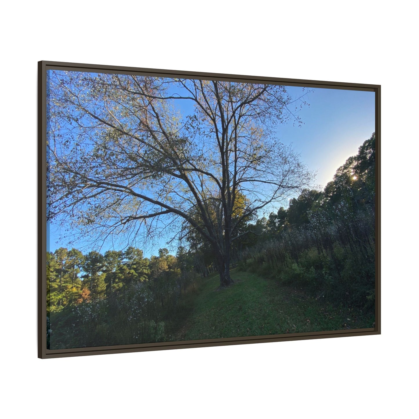Framed Matte Canvas Art Print, Nature Wall Decor, Living Room Artwork, Gift for Nature Lovers, Home Office Decor, Rustic Vibes – 60" x 40" (Horizontal) Canvas for Art for Living Room (60 view)