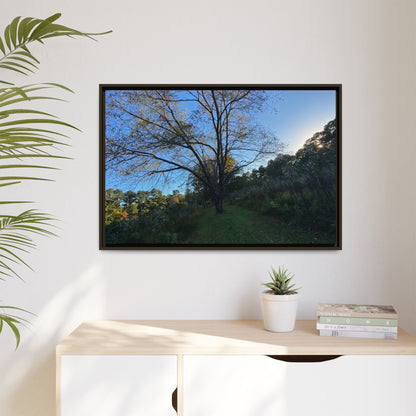 Framed Matte Canvas Art Print, Nature Wall Decor, Living Room Artwork, Gift for Nature Lovers, Home Office Decor, Rustic Vibes – 60" x 40" (Horizontal) Canvas for Art for Living Room (55 view)