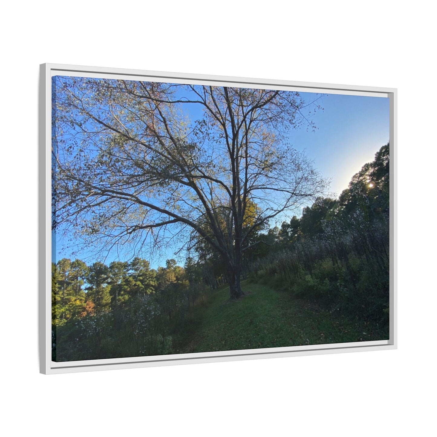 Framed Matte Canvas Art Print, Nature Wall Decor, Living Room Artwork, Gift for Nature Lovers, Home Office Decor, Rustic Vibes – 60" x 40" (Horizontal) Canvas for Art for Living Room (57 view)