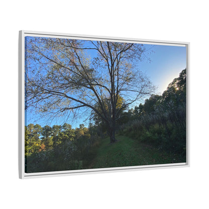 Framed Matte Canvas Art Print, Nature Wall Decor, Living Room Artwork, Gift for Nature Lovers, Home Office Decor, Rustic Vibes – 60" x 40" (Horizontal) Canvas for Art for Living Room (57 view)