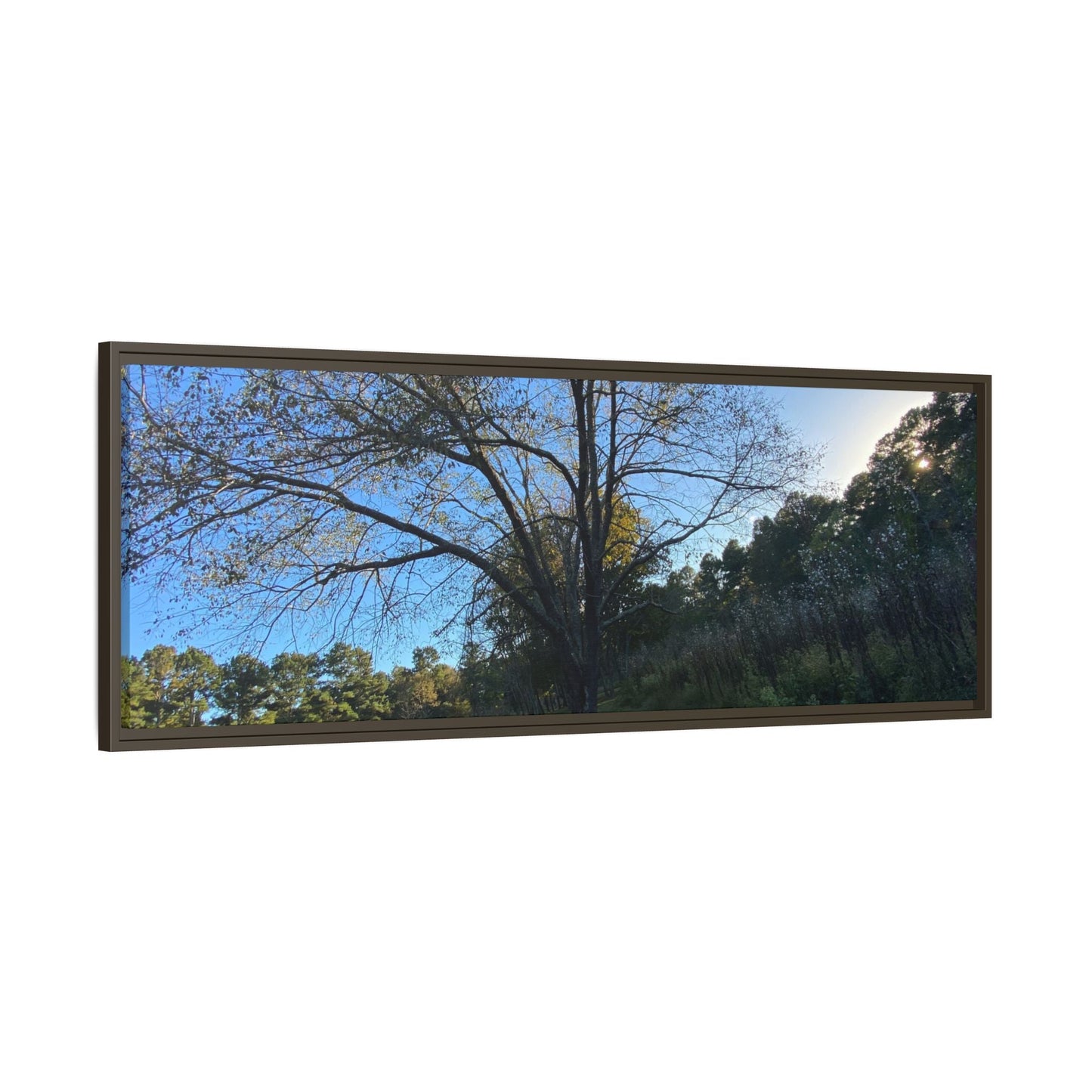 Framed Matte Canvas Art Print, Nature Wall Decor, Living Room Artwork, Gift for Nature Lovers, Home Office Decor, Rustic Vibes – 60" x 40" (Horizontal) Canvas by Printify