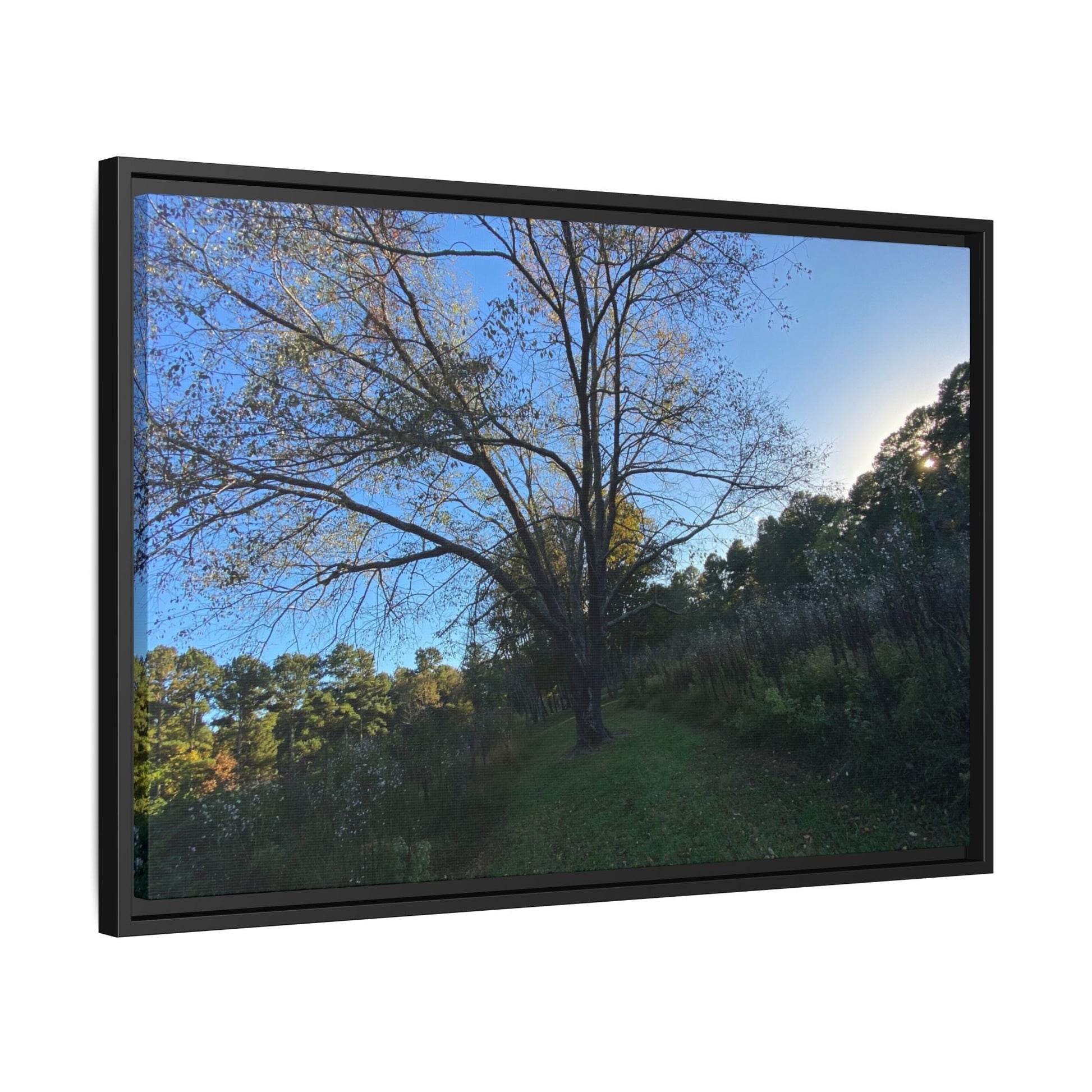 Framed Matte Canvas Art Print, Nature Wall Decor, Living Room Artwork, Gift for Nature Lovers, Home Office Decor, Rustic Vibes – 60" x 40" (Horizontal) Canvas for Art for Living Room (39 view)