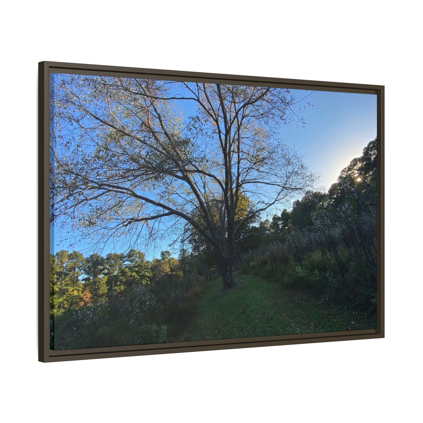 Framed Matte Canvas Art Print, Nature Wall Decor, Living Room Artwork, Gift for Nature Lovers, Home Office Decor, Rustic Vibes – 60" x 40" (Horizontal) Canvas by Printify