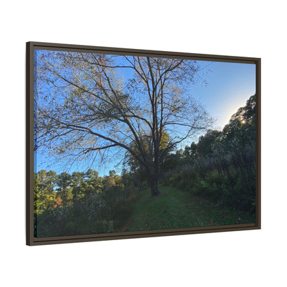 Framed Matte Canvas Art Print, Nature Wall Decor, Living Room Artwork, Gift for Nature Lovers, Home Office Decor, Rustic Vibes – 60" x 40" (Horizontal) Canvas by Printify