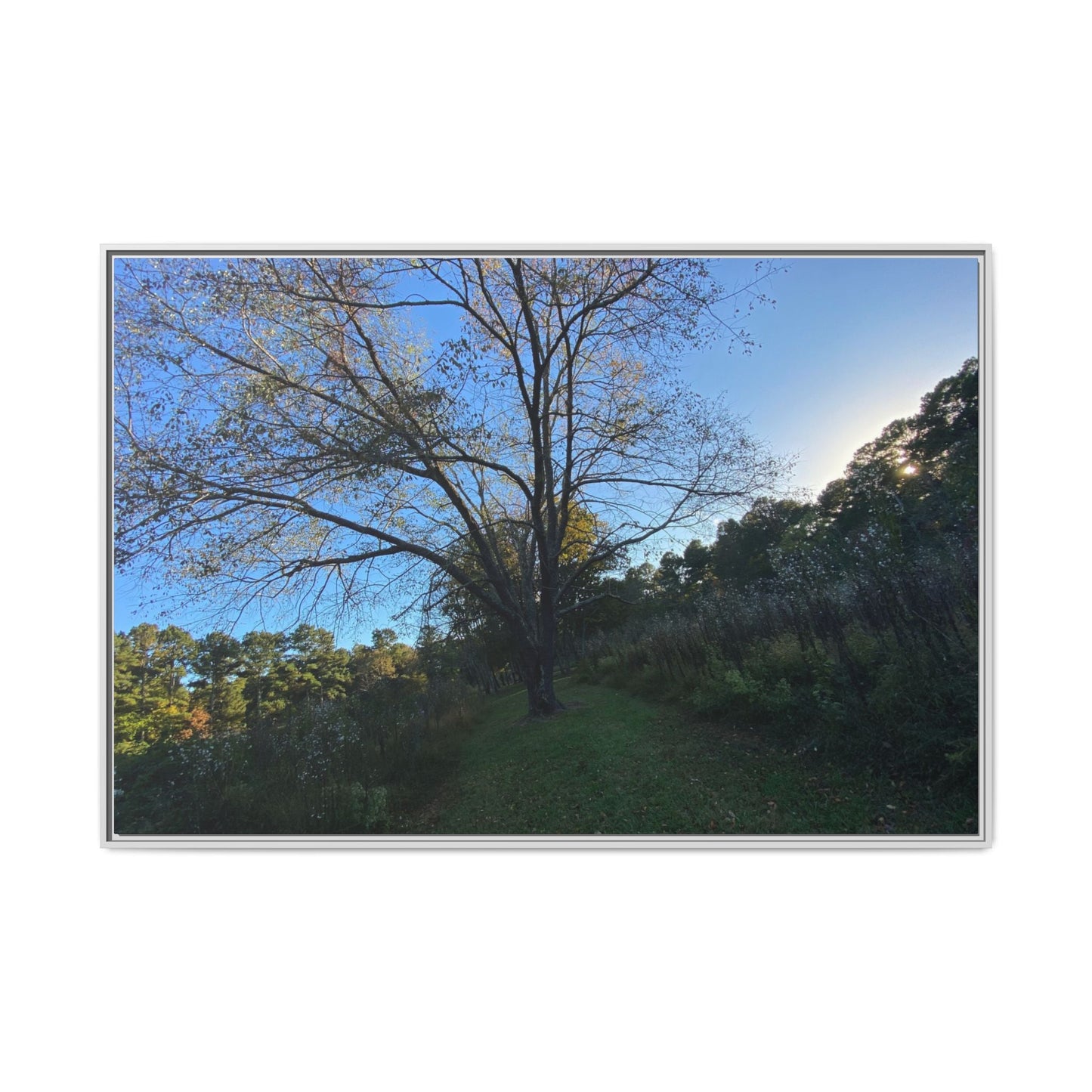 Framed Matte Canvas Art Print, Nature Wall Decor, Living Room Artwork, Gift for Nature Lovers, Home Office Decor, Rustic Vibes – 60" x 40" (Horizontal) Canvas for Art for Living Room (38 view)